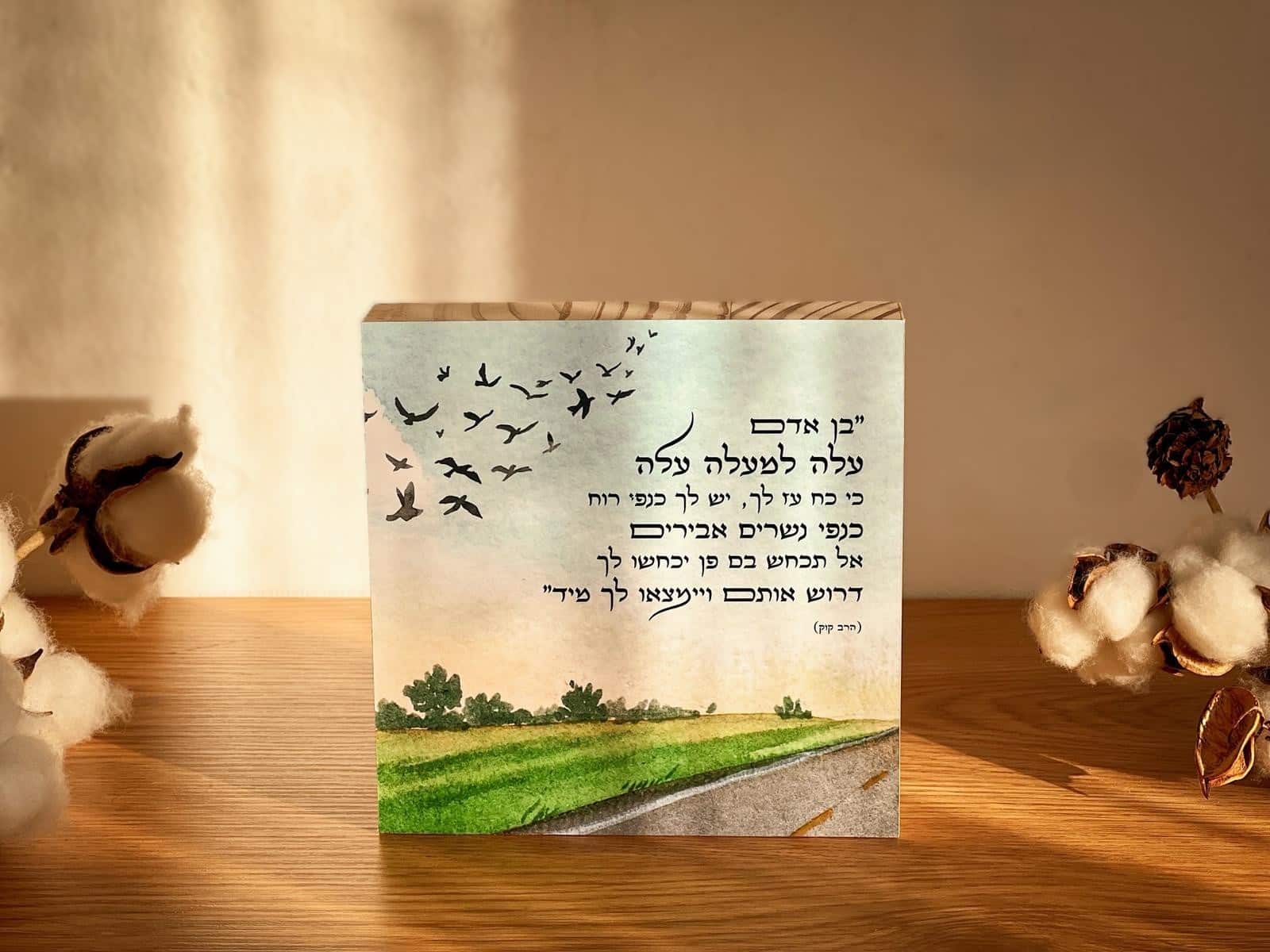 עלה בן אדם – תמונה 3