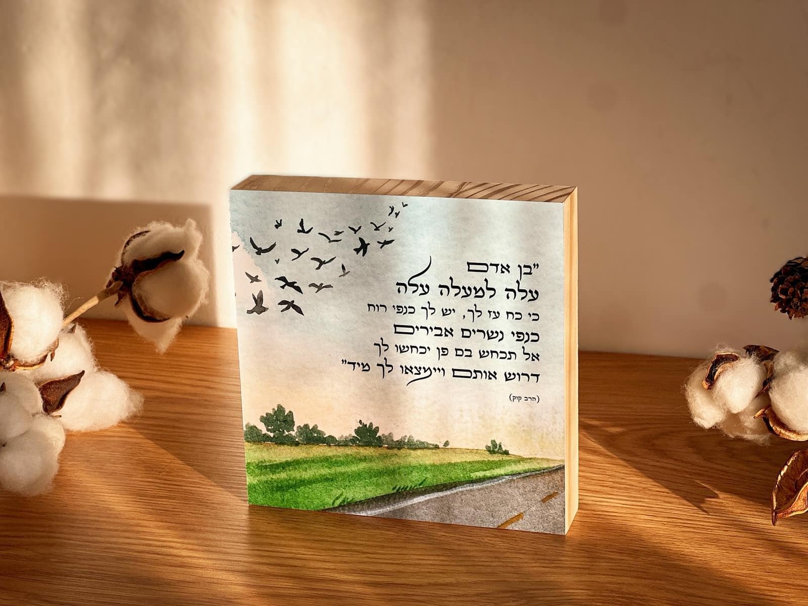 עלה בן אדם – תמונה 2