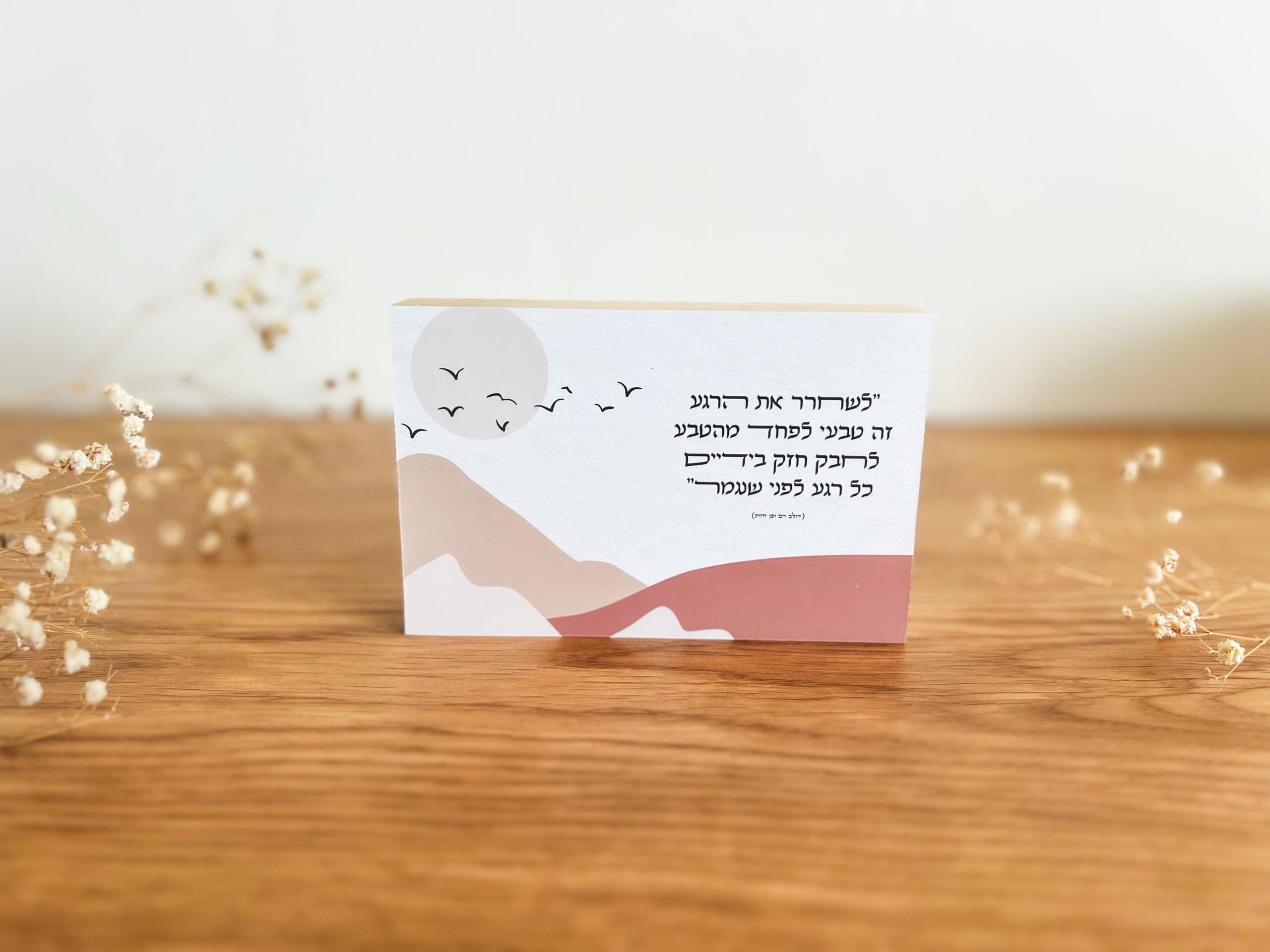 להאמין – תמונה 3