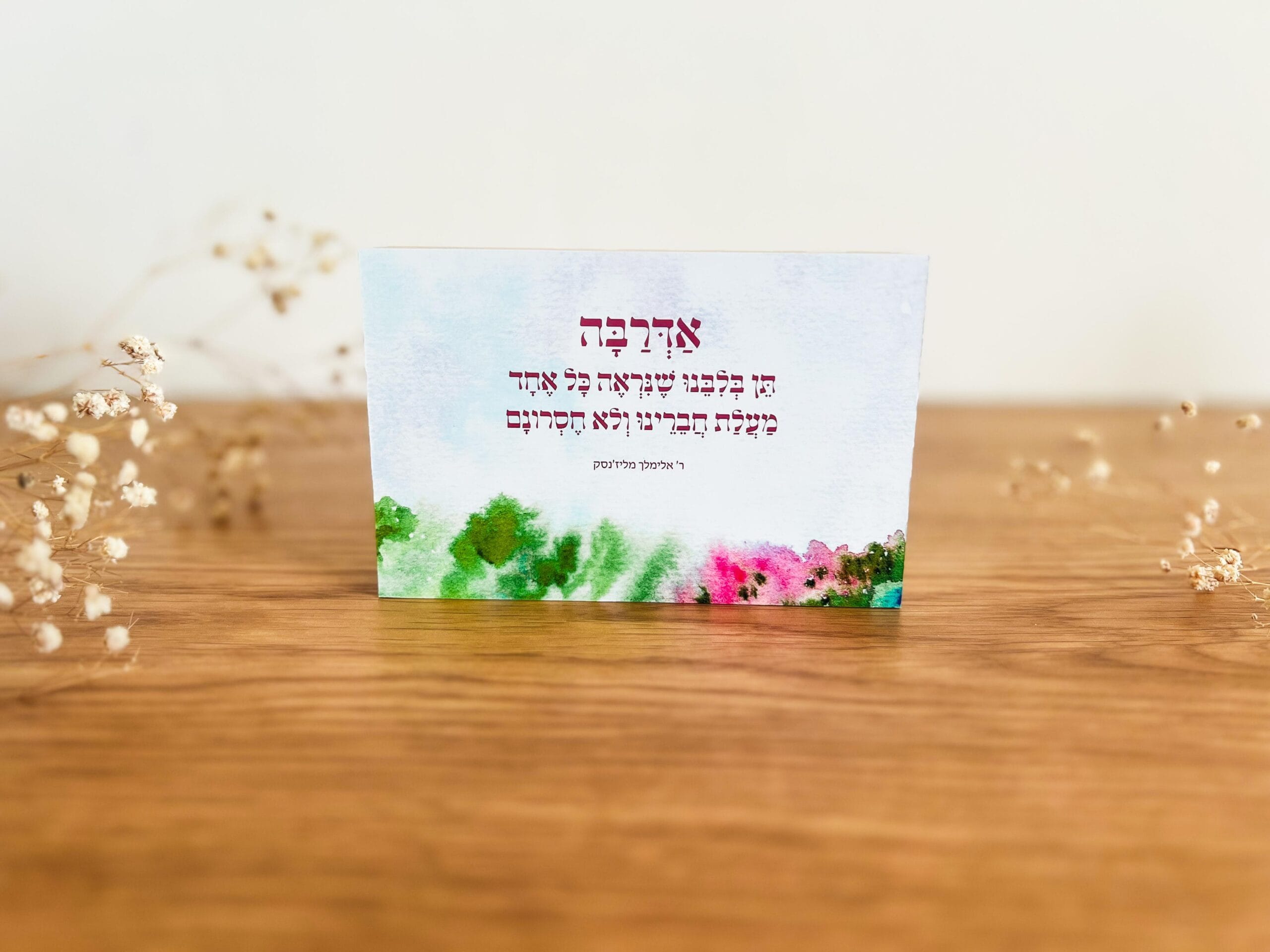 אדרבה – תמונה 5