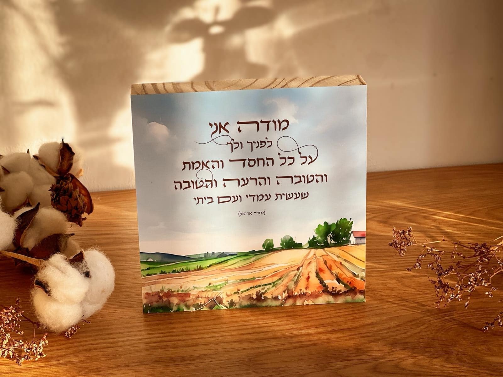 מודה אני לפניך ולך – תמונה 3