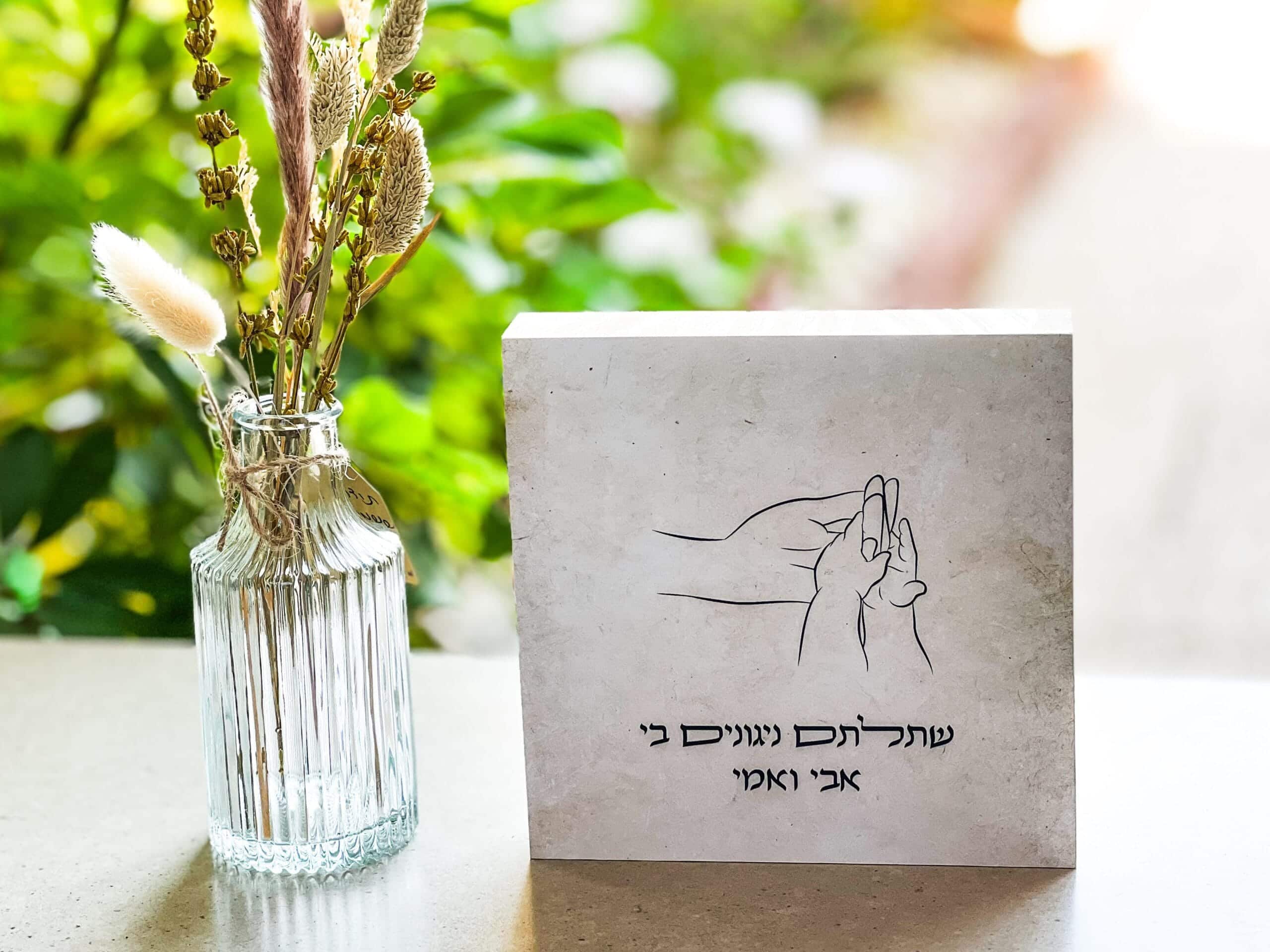 דורות – תמונה 5