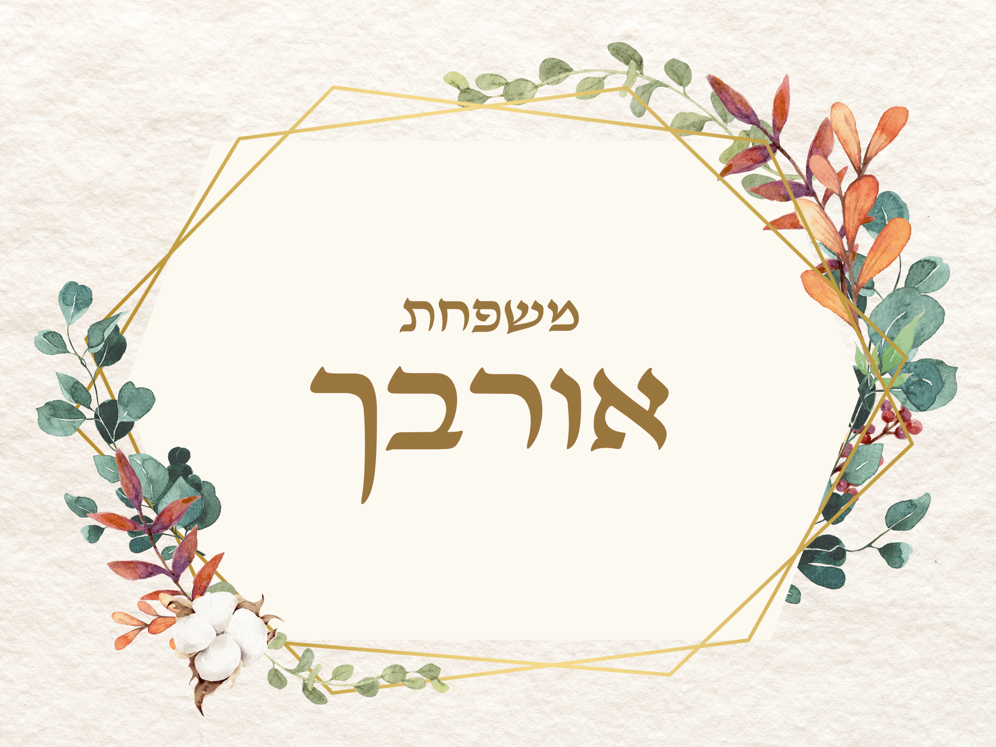 סט מגנטים לדלת – תמונה 2