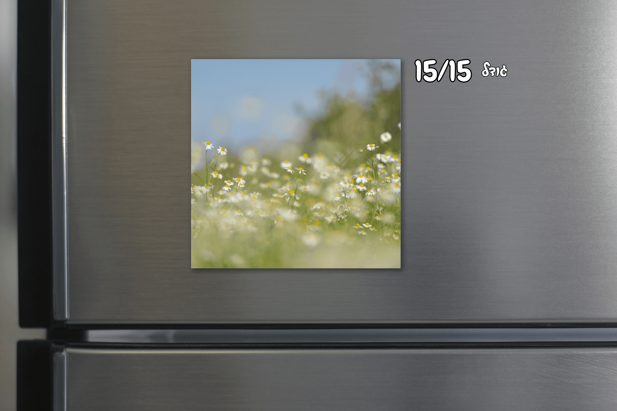 תמונות על מגנט – תמונה 2