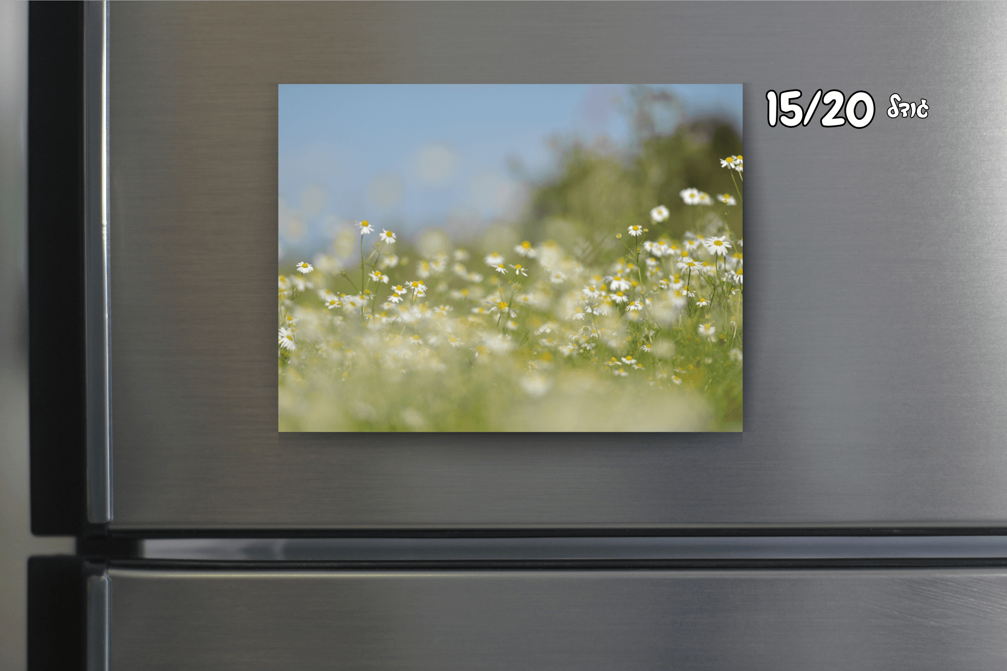 תמונות על מגנט – תמונה 3