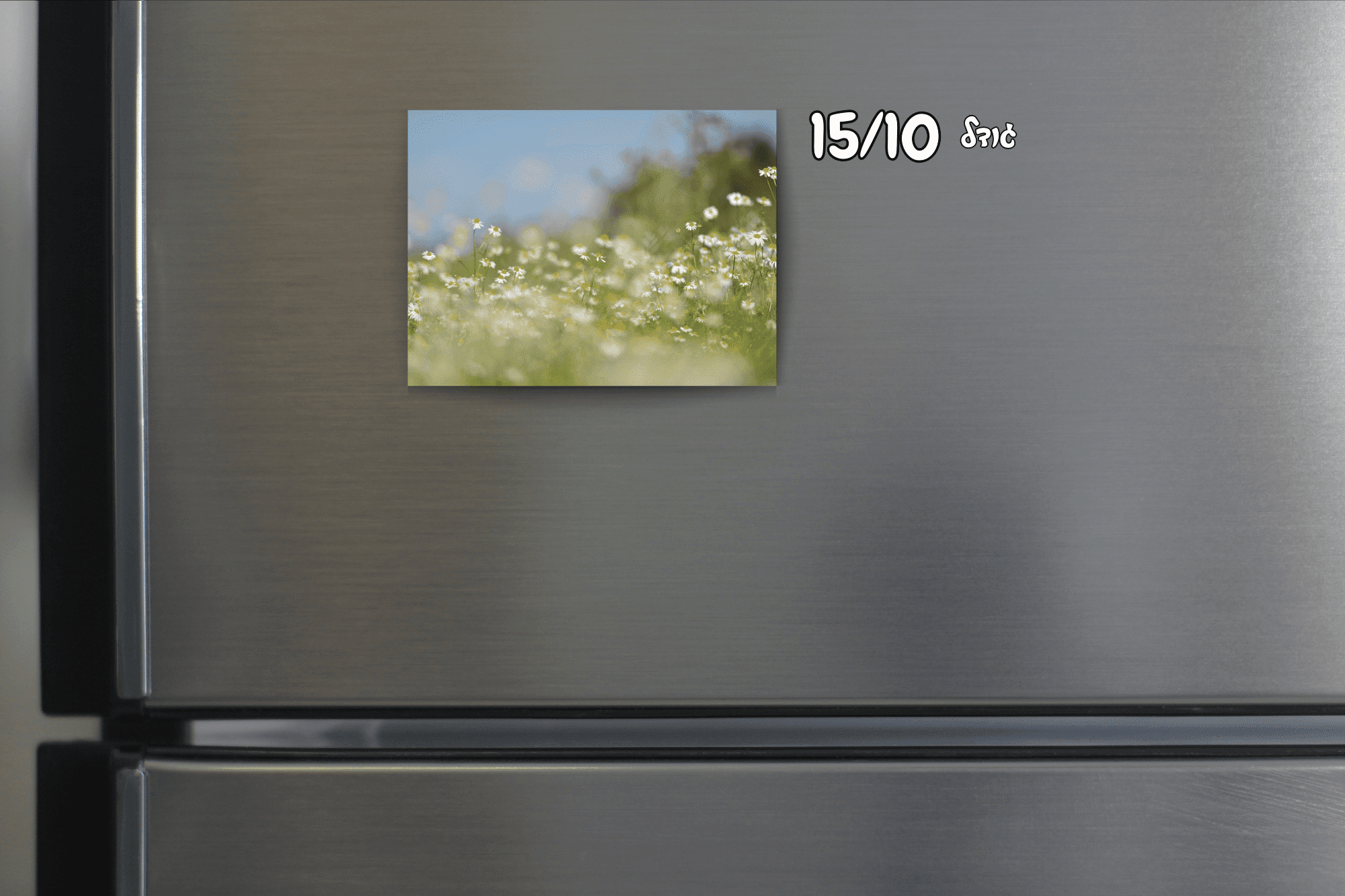 תמונות על מגנט – תמונה 4