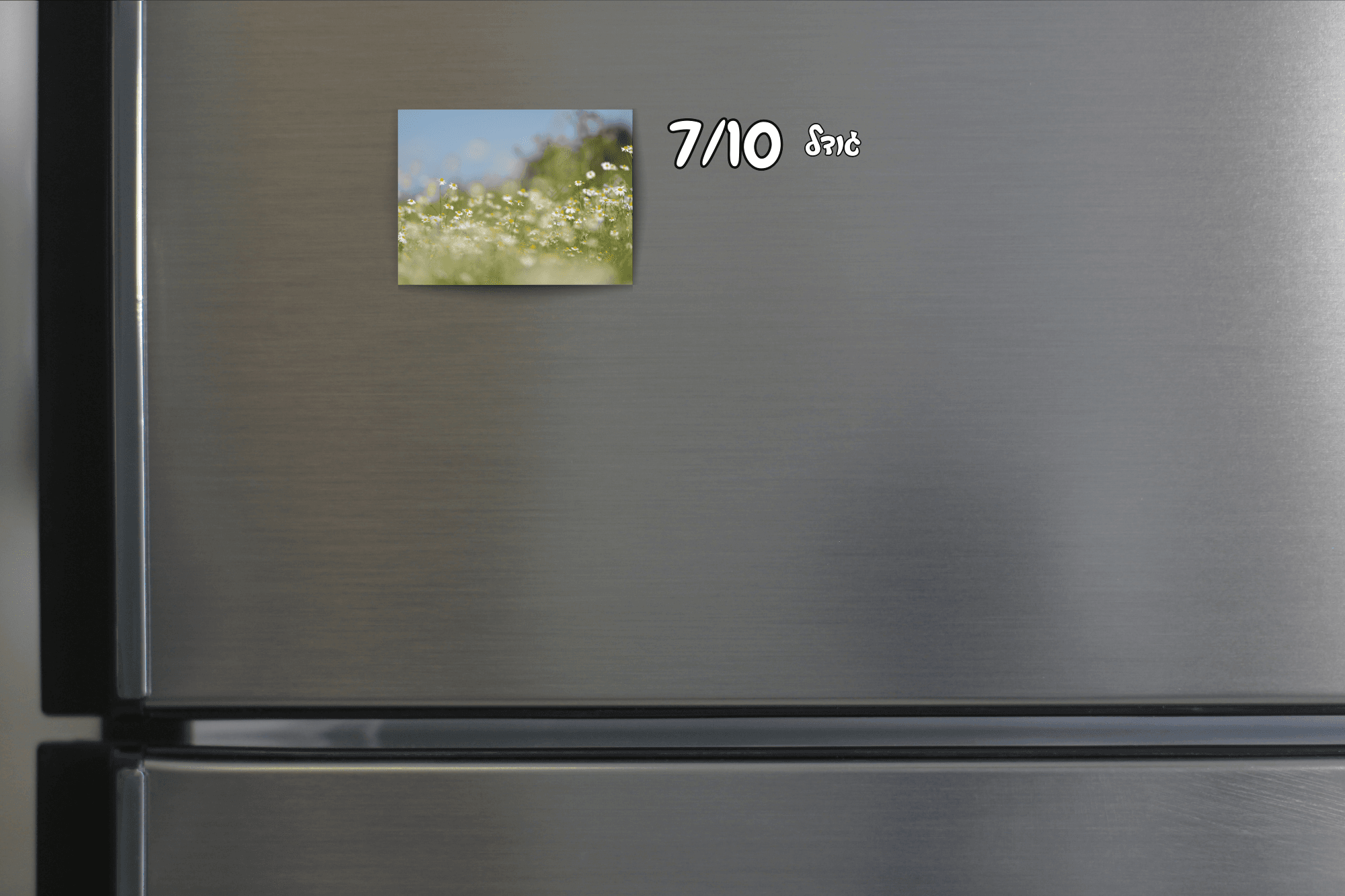 תמונות על מגנט – תמונה 5