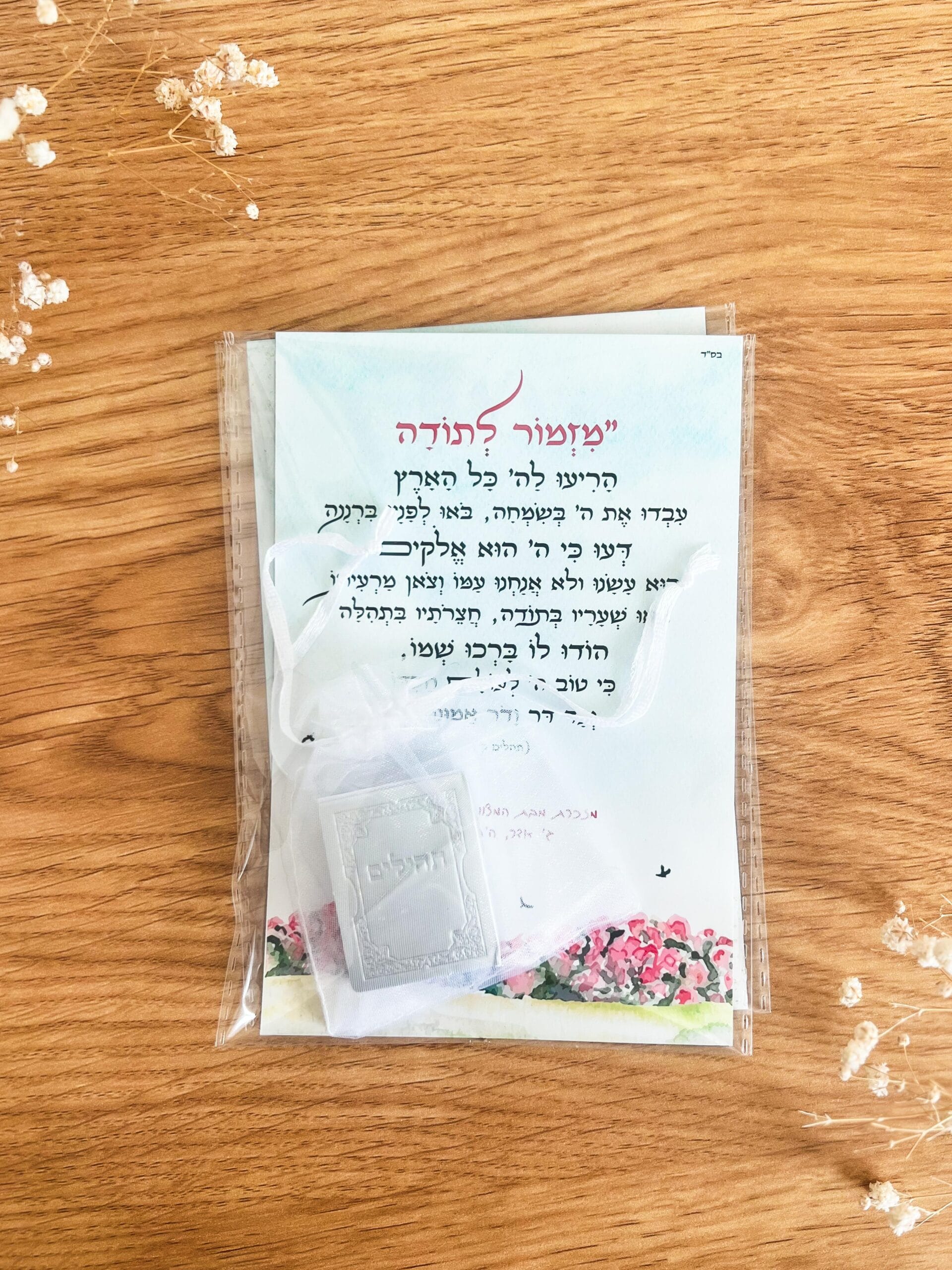 מזמור לתודה - ציפורים – תמונה 2