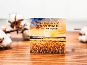 כשהנשמה מאירה