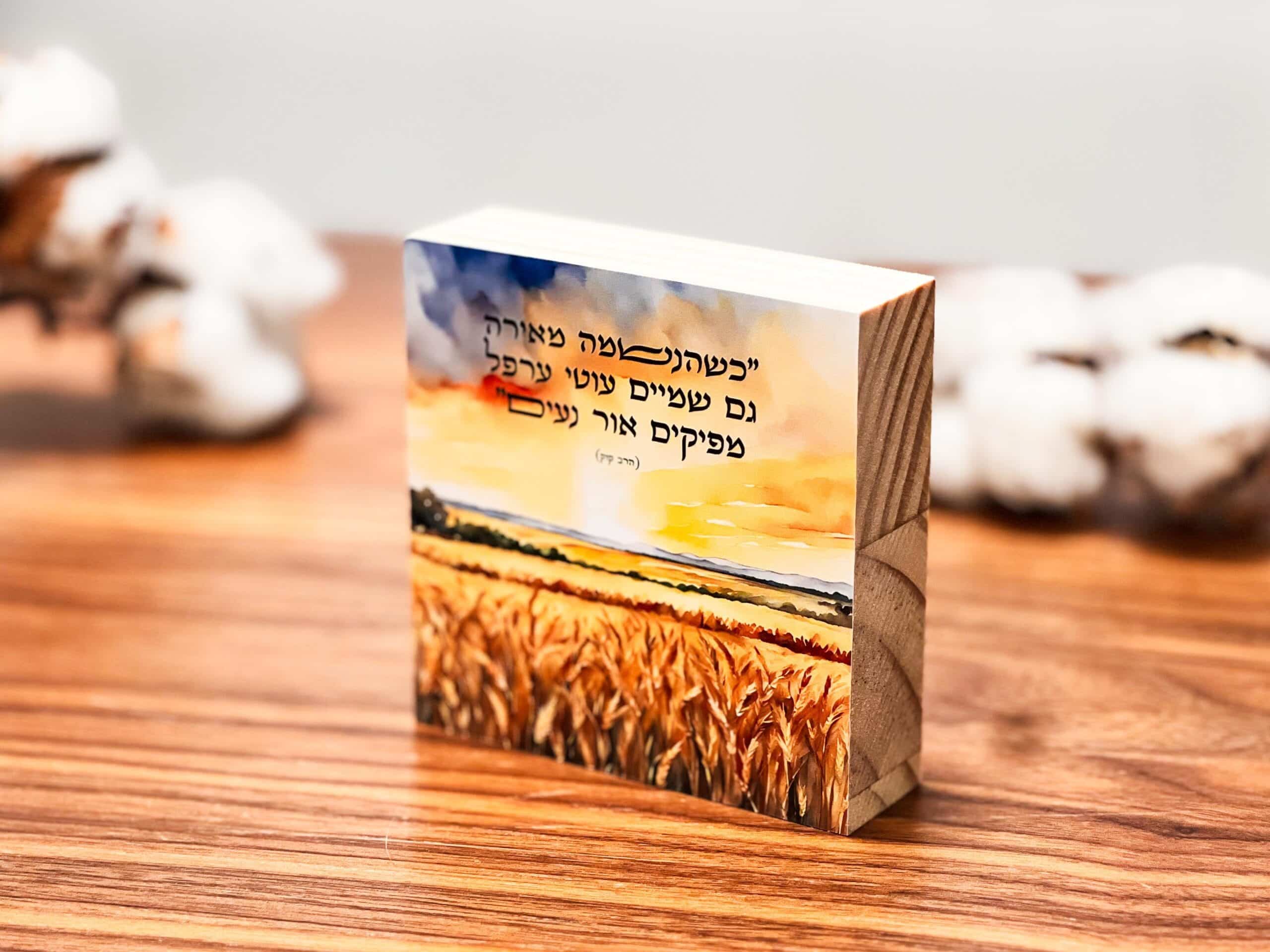 כשהנשמה מאירה – תמונה 2