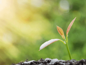 מתנות לתחילת שנה