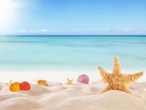 מתנות לסוף שנה