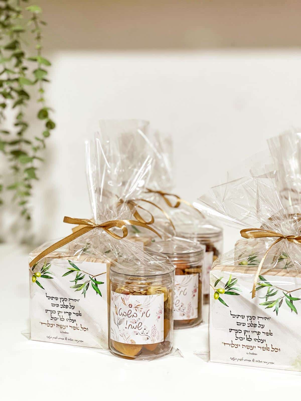 ערכת נשנוש של טו בשבט – תמונה 3