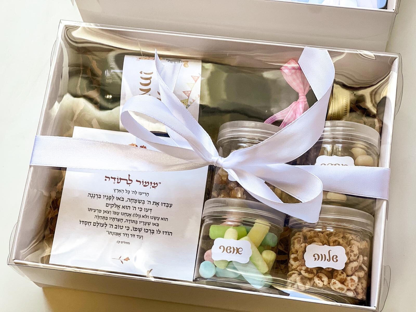 משלוח מנות 'וששון ויקר' – תמונה 7