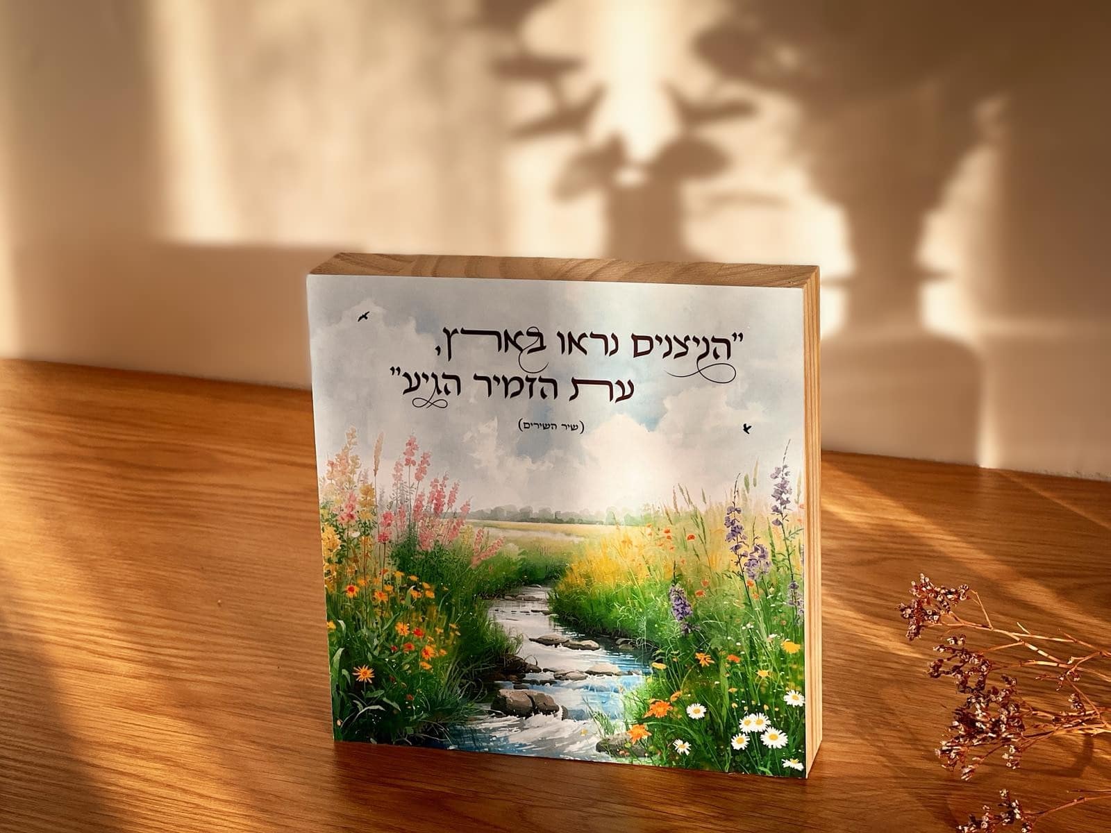 התחדשות – תמונה 3