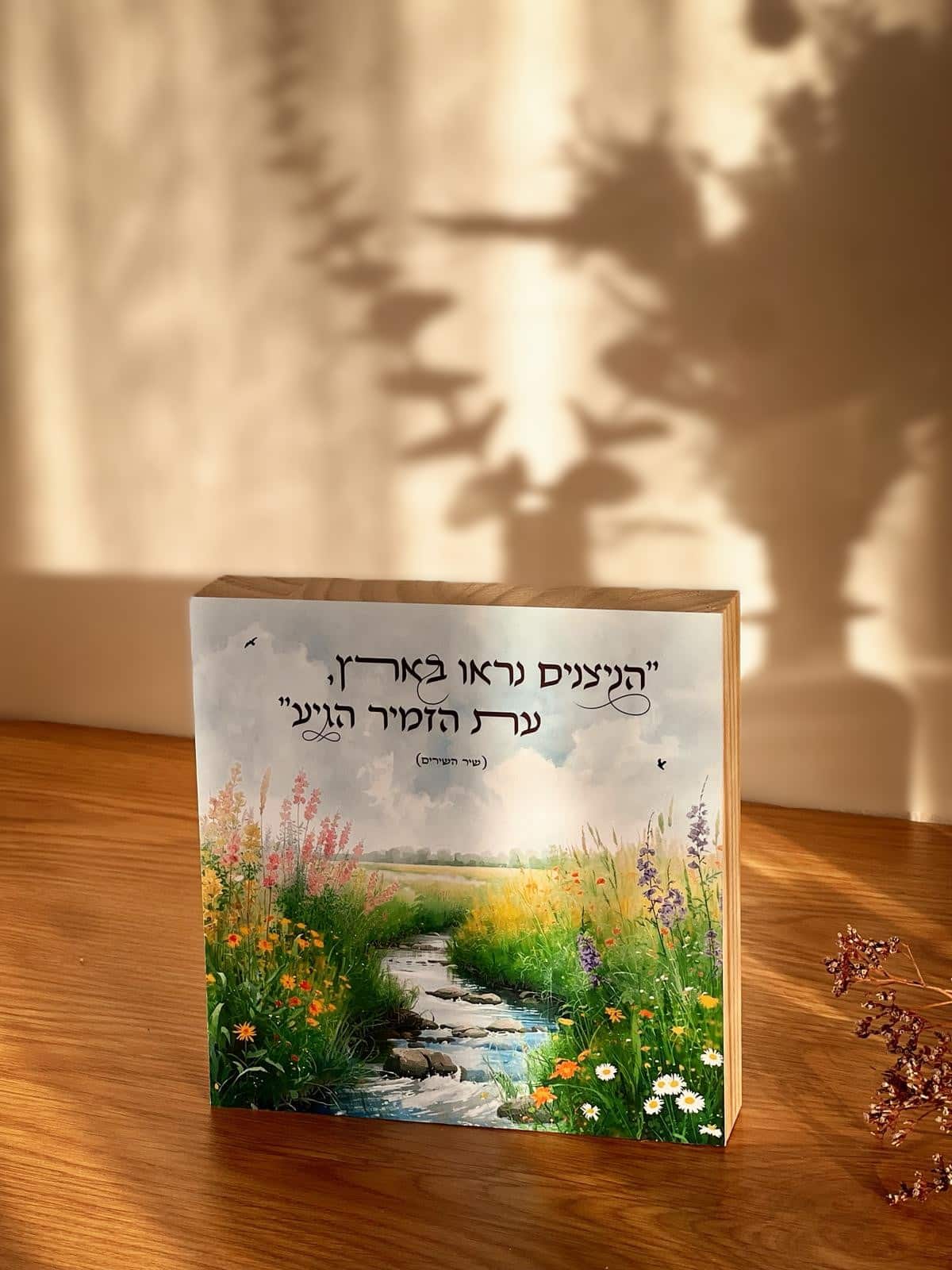 התחדשות – תמונה 2